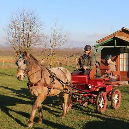 Ferme équestre Les Chevaliers Campeggio *